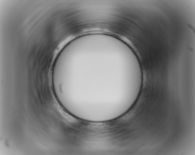 X0000102841474200808181014