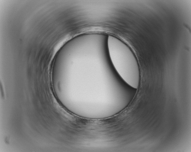X0000102841475200808181014