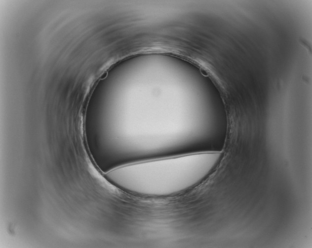 X0000102841476200808181014