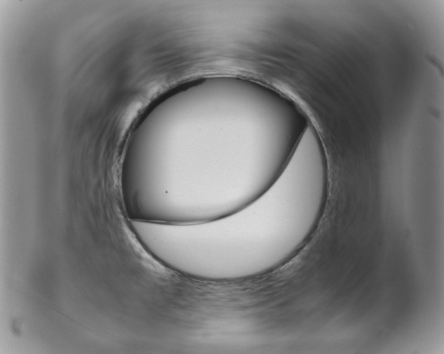 X0000102841477200808181014