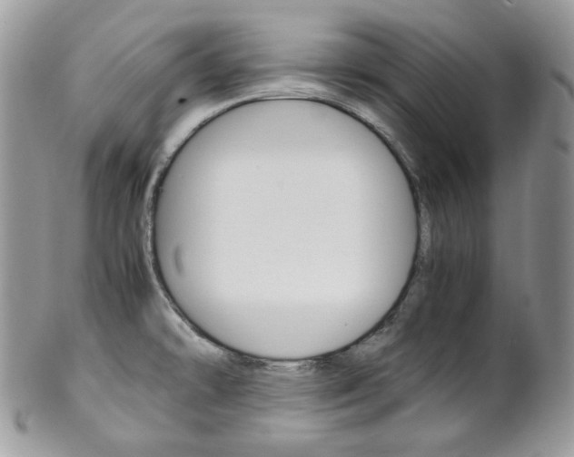 X0000102841478200808181014