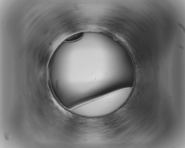 X0000102841479200808181014