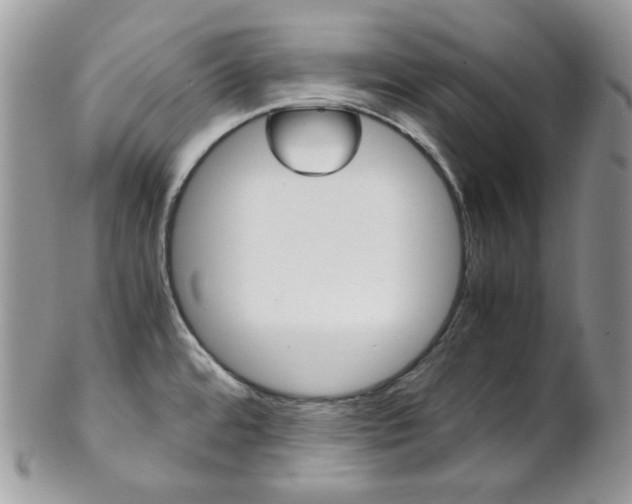 X0000102841480200808181014