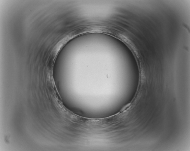 X0000102841481200808181014