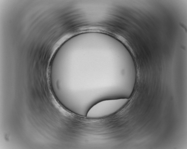 X0000102841482200808181014