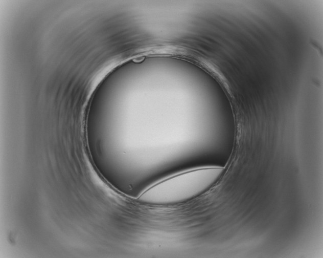X0000102841483200808181014