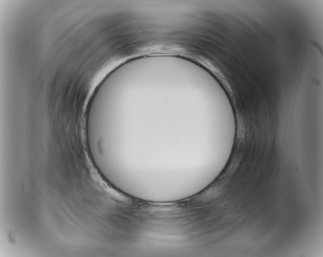 X0000102841486200808181014