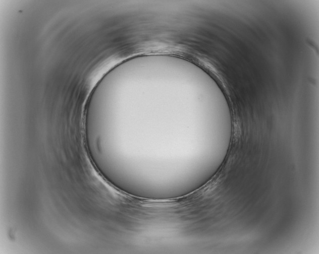 X0000102841487200808181014
