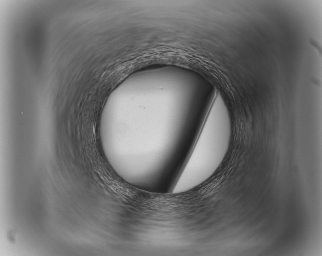 X0000102841489200808181013