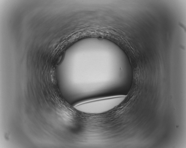 X0000102841490200808181013
