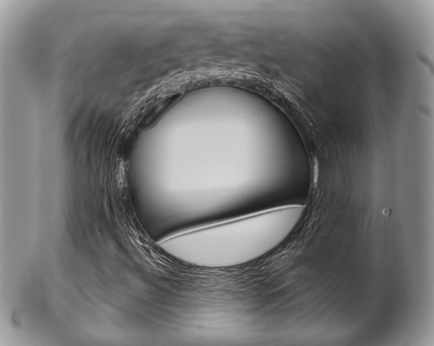 X0000102841492200808181013