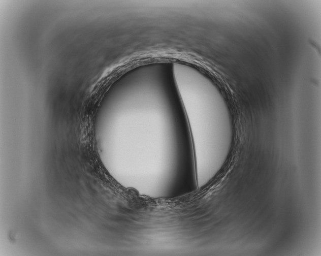 X0000102841494200808181013
