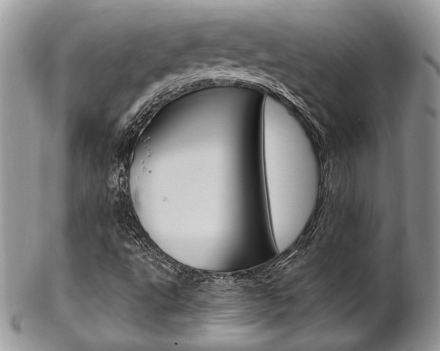 X0000102841495200808181013