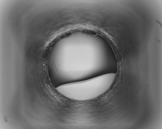 X0000102841496200808181013