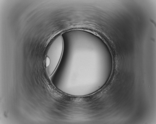 X0000102841497200808181013