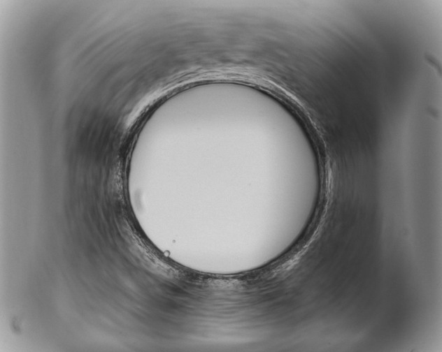 X0000102841498200808181013