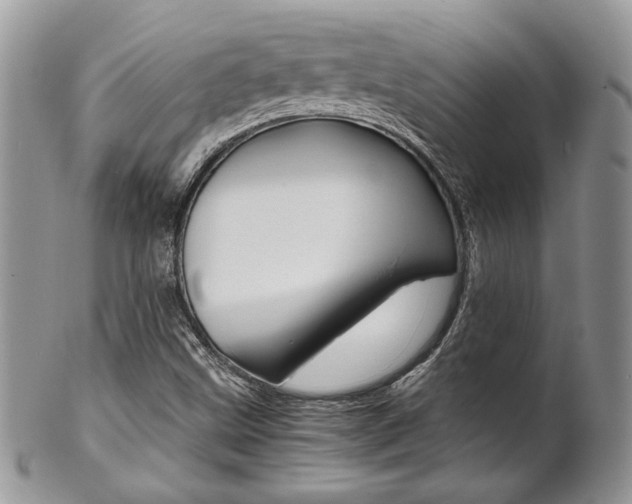 X0000102841499200808181013