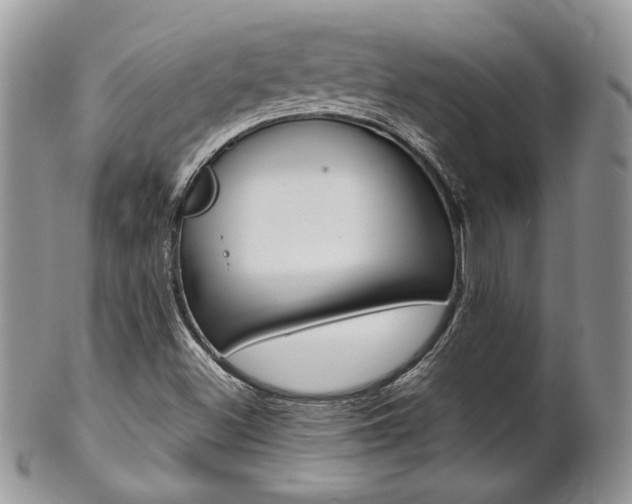 X0000102841500200808181013