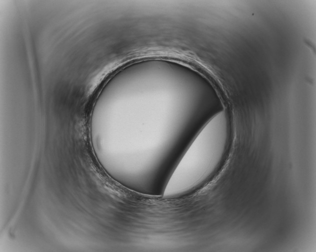 X0000102841501200808181013