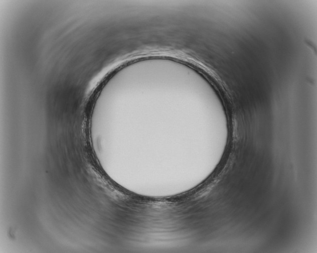 X0000102841502200808181013