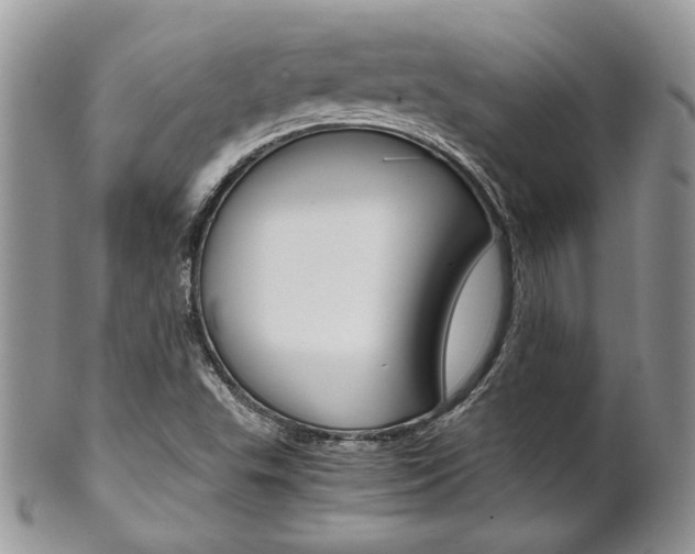 X0000102841503200808181013