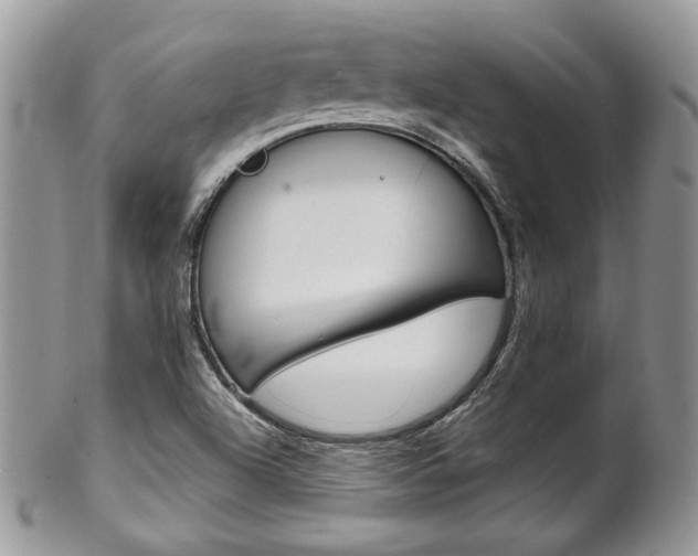 X0000102841504200808181013