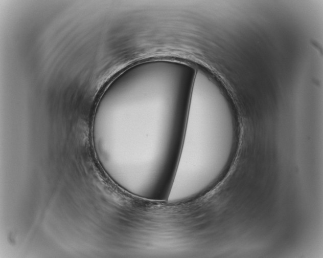 X0000102841505200808181013