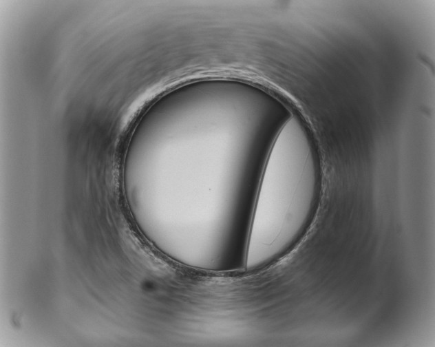 X0000102841506200808181013