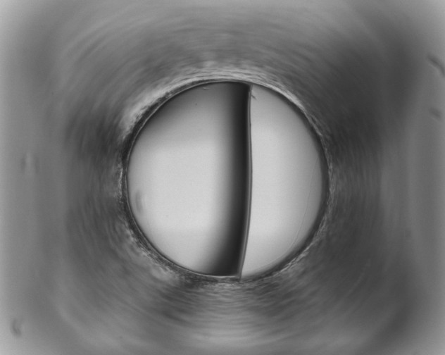 X0000102841507200808181013