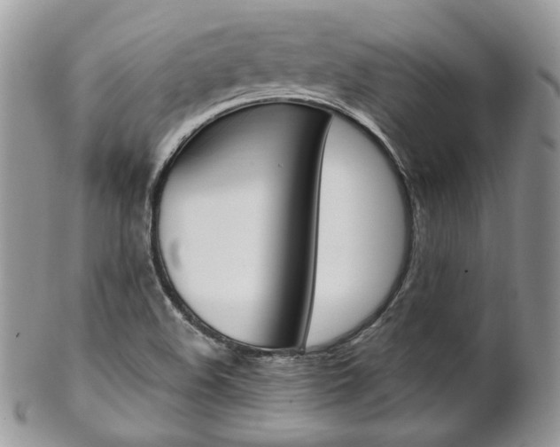 X0000102841508200808181013