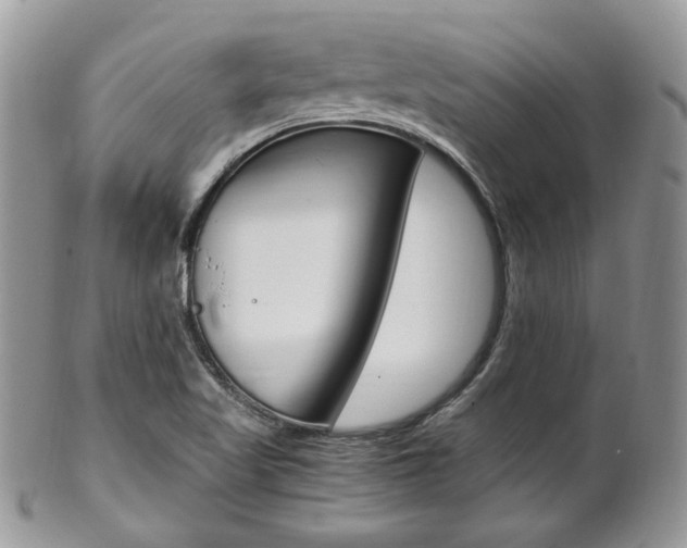 X0000102841509200808181013