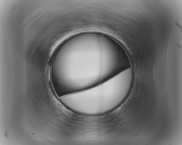 X0000102841510200808181013