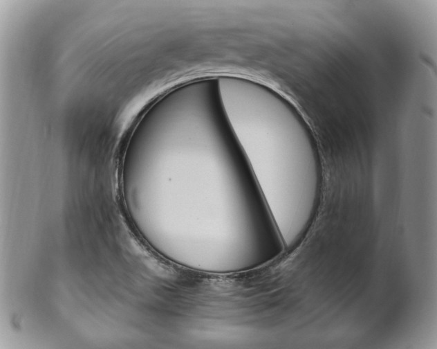 X0000102841511200808181013