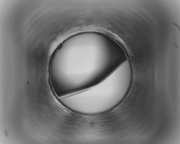 X0000102841512200808181013