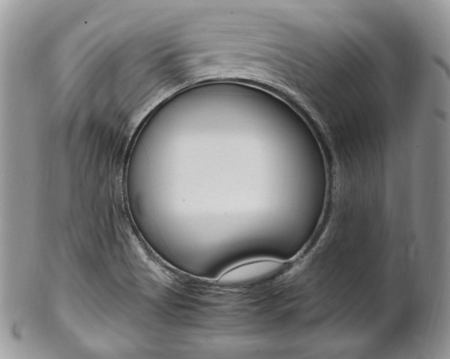 X0000102841513200808181013