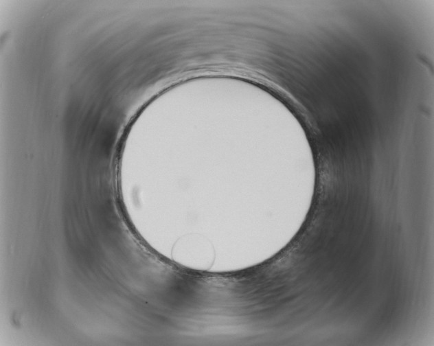 X0000102841514200808181013