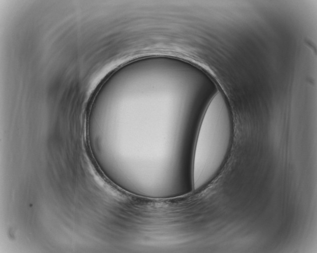 X0000102841515200808181013
