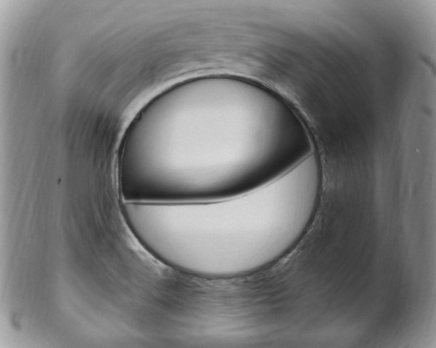 X0000102841516200808181013