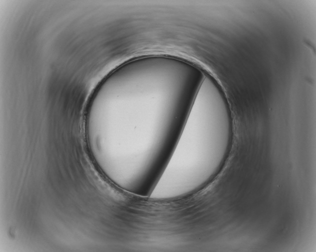 X0000102841517200808181013