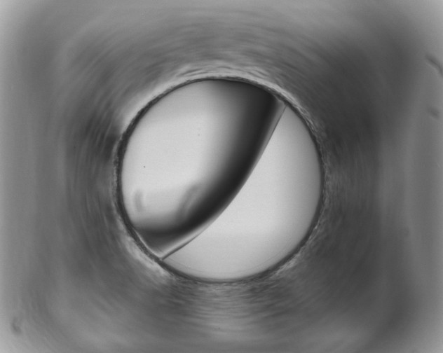 X0000102841518200808181013