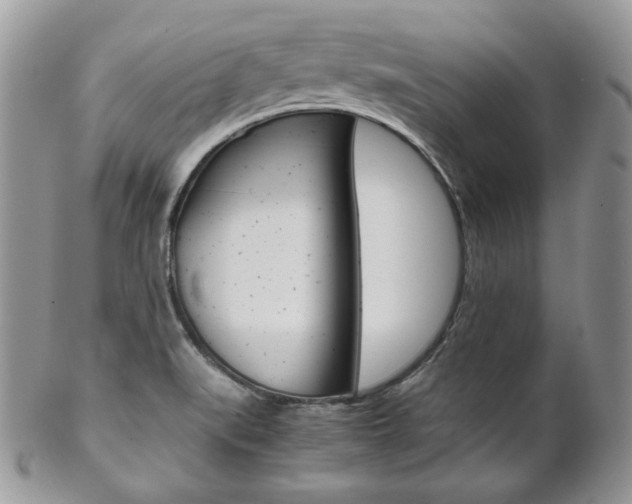 X0000102841519200808181013