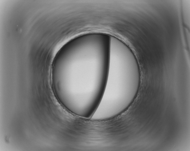 X0000102841520200808181013