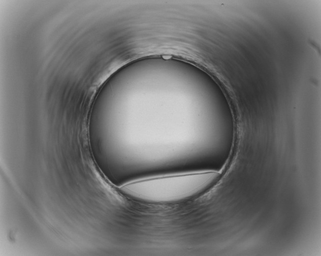 X0000102841521200808181013
