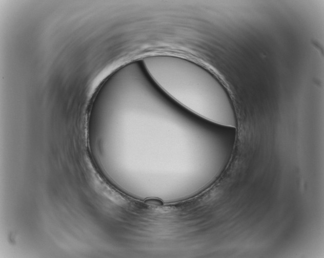 X0000102841522200808181013