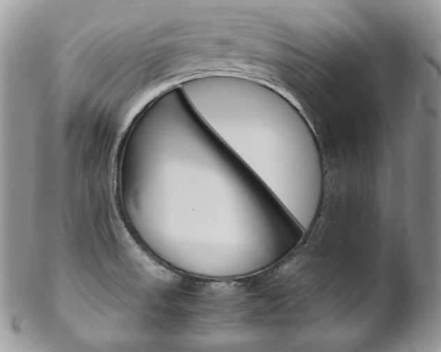 X0000102841523200808181013