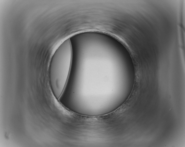 X0000102841524200808181013