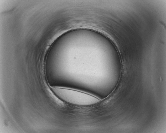 X0000102841525200808181013