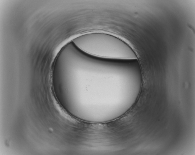 X0000102841526200808181013