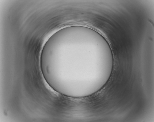 X0000102841528200808181013