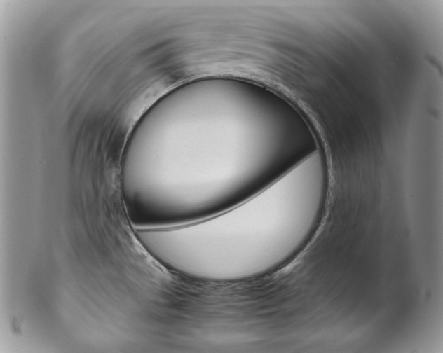 X0000102841529200808181013